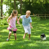 Brother and sister playing with their small puppy in their mosquito-free yard.