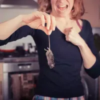 holding-rodent-in-hand-kitchen