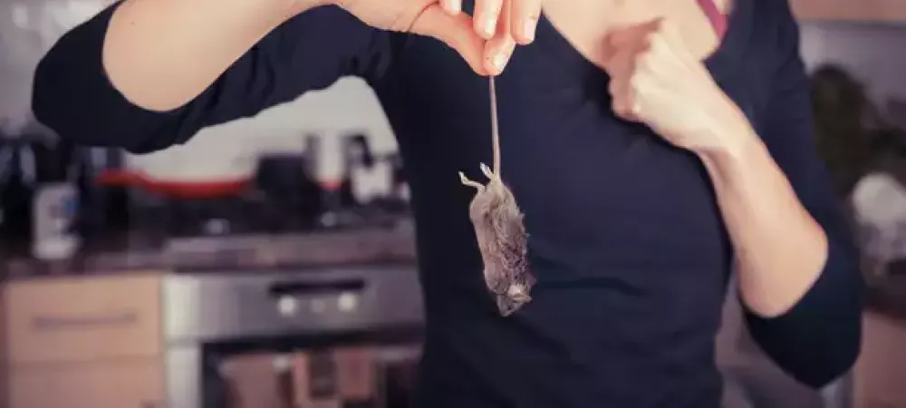 holding-rodent-in-hand-kitchen