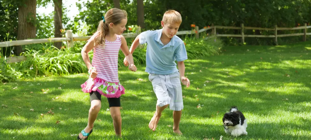 Brother and sister playing with their small puppy in their mosquito-free yard.